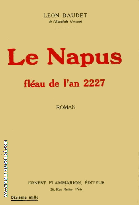 daudet-l_napus_flammarion