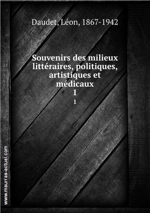 daudet-l_souvenirs-des-milieux-litteraires-politiques-artistiques_bod